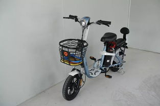臺山街坊們，你的電動(dòng)自行車今天登記了嗎？